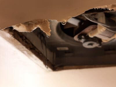 Professional emergency water extraction services services in Highland Park